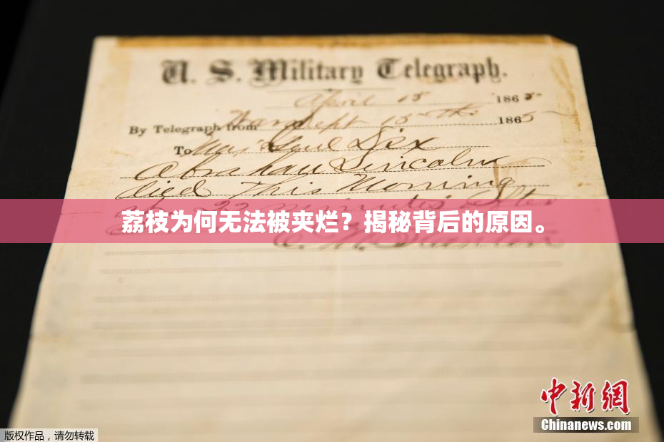 荔枝为何无法被夹烂？揭秘背后的原因。