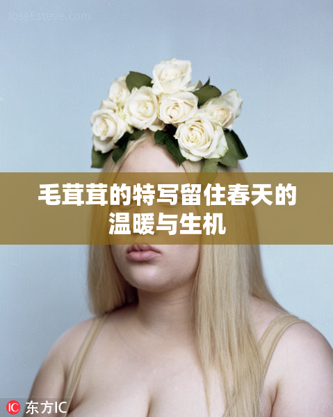 毛茸茸的特写留住春天的温暖与生机