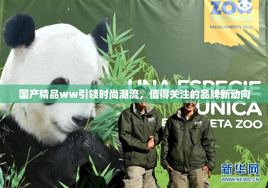 国产精品ww引领时尚潮流，值得关注的品牌新动向