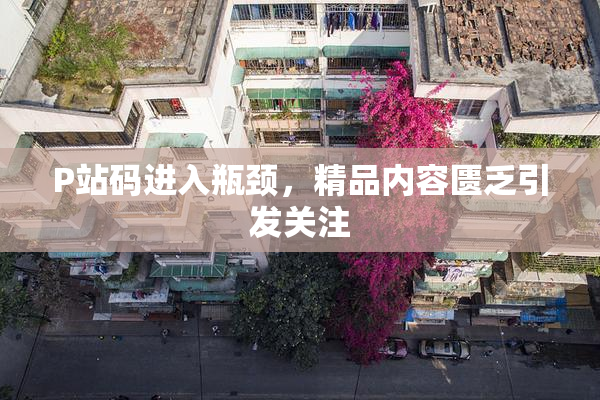 P站码进入瓶颈，精品内容匮乏引发关注