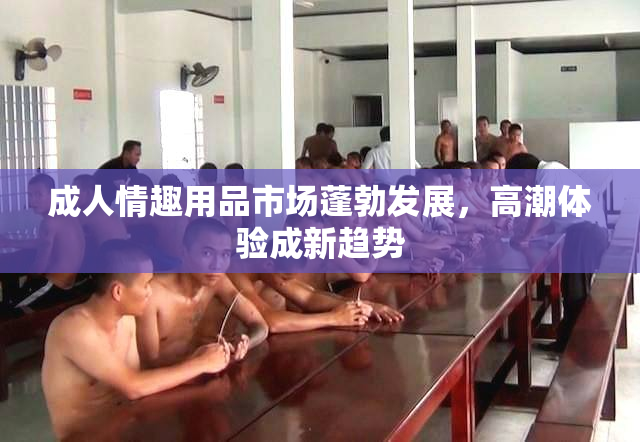 成人情趣用品市场蓬勃发展，高潮体验成新趋势