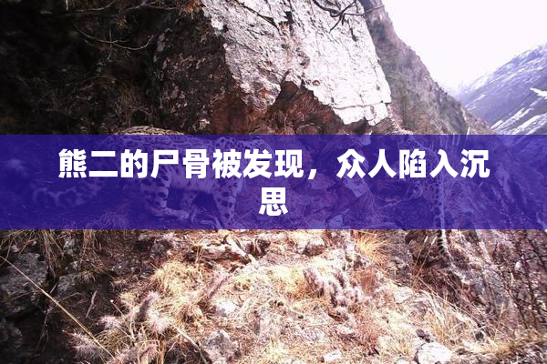 熊二的尸骨被发现，众人陷入沉思