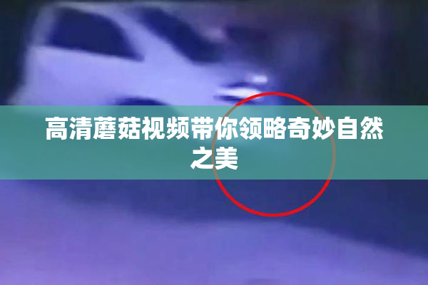 高清蘑菇视频带你领略奇妙自然之美