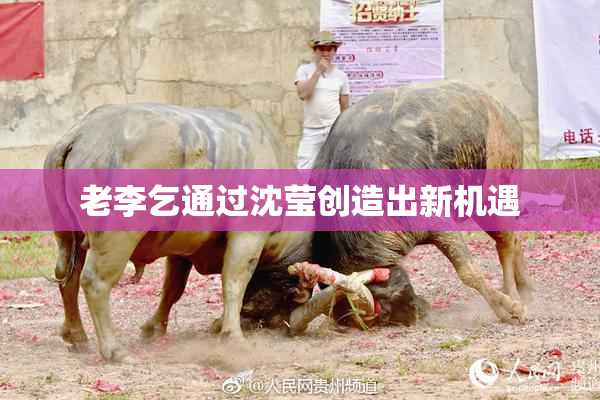 老李乞通过沈莹创造出新机遇