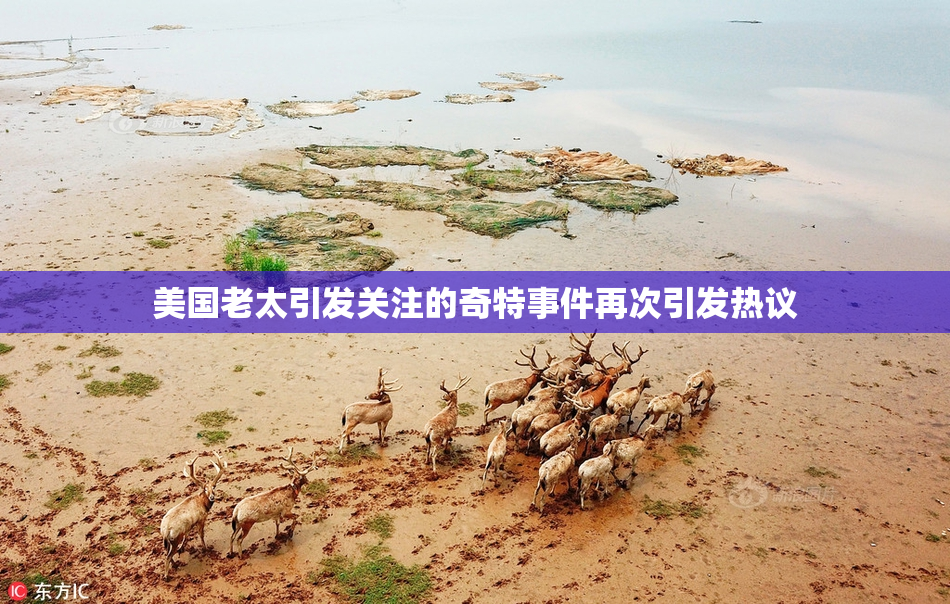 美国老太引发关注的奇特事件再次引发热议