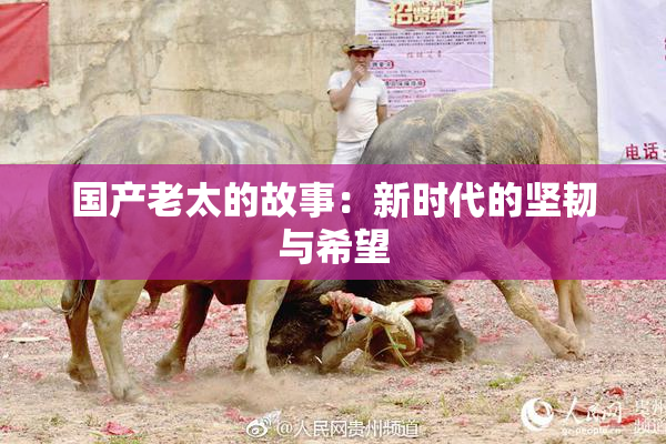国产老太的故事：新时代的坚韧与希望