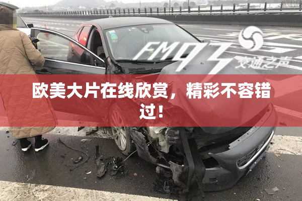 欧美大片在线欣赏，精彩不容错过！