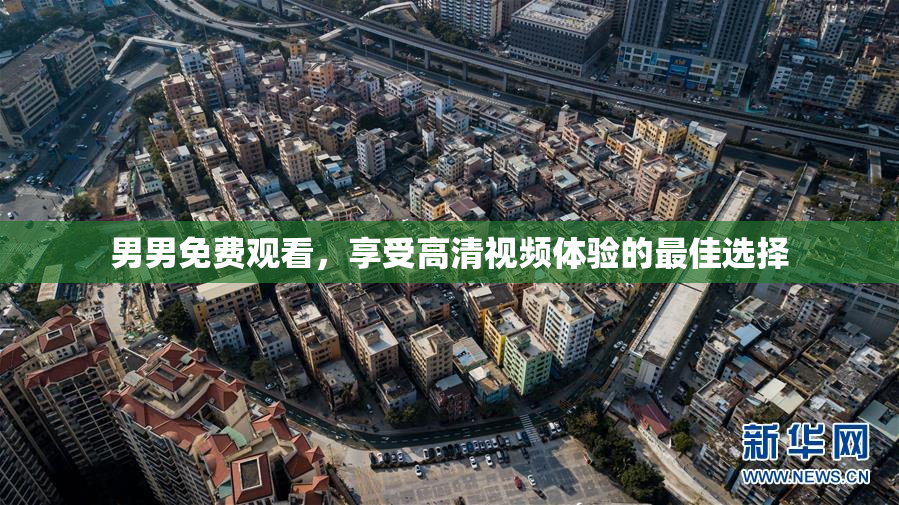 男男免费观看，享受高清视频体验的最佳选择