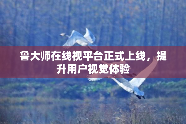 鲁大师在线视平台正式上线，提升用户视觉体验