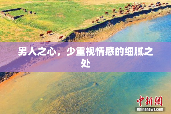 男人之心，少重视情感的细腻之处