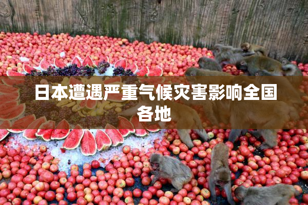 日本遭遇严重气候灾害影响全国各地