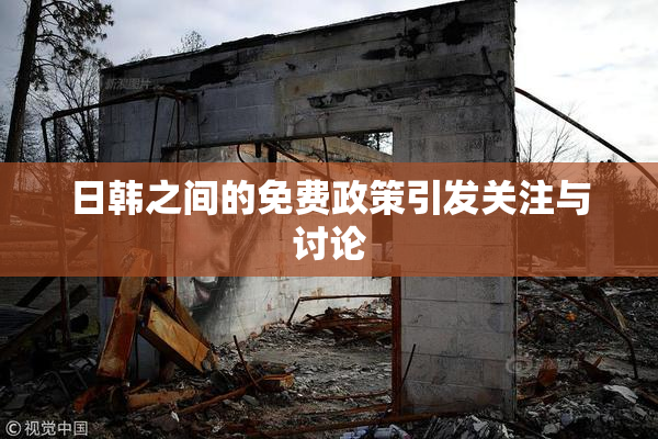 日韩之间的免费政策引发关注与讨论