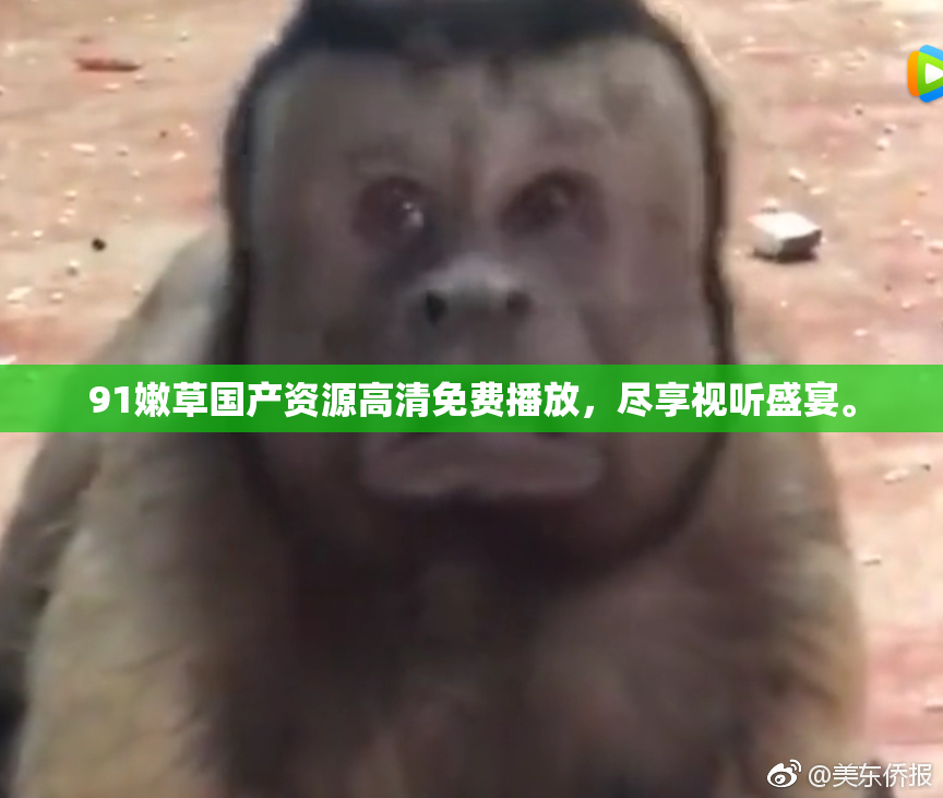 91嫩草国产资源高清免费播放，尽享视听盛宴。