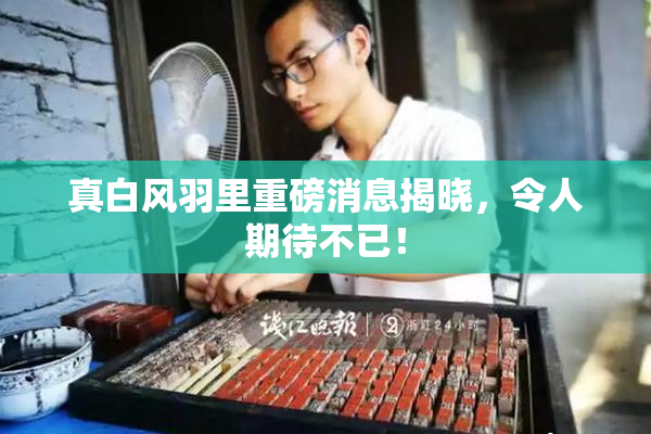 真白风羽里重磅消息揭晓，令人期待不已！