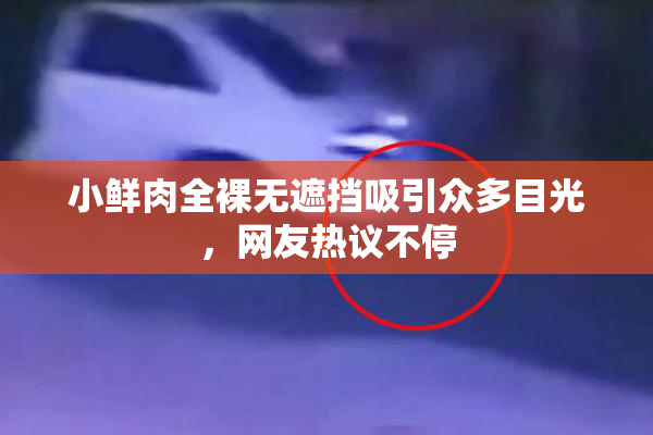 小鲜肉全裸无遮挡吸引众多目光，网友热议不停