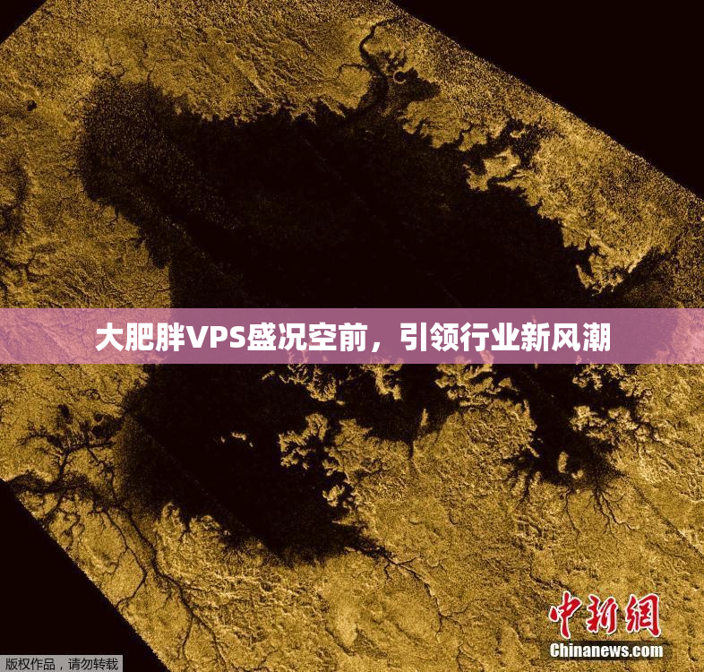 大肥胖VPS盛况空前，引领行业新风潮