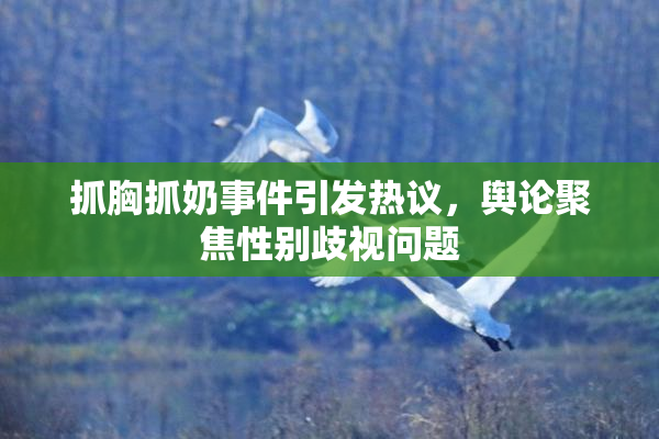 抓胸抓奶事件引发热议，舆论聚焦性别歧视问题