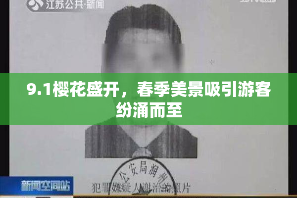9.1樱花盛开，春季美景吸引游客纷涌而至