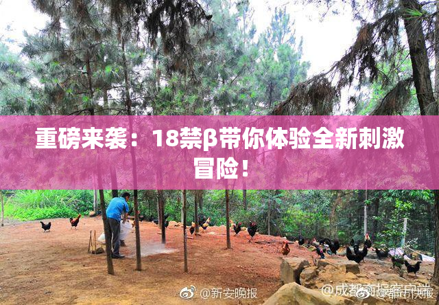 重磅来袭：18禁β带你体验全新刺激冒险！