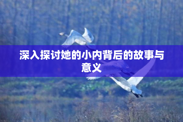 深入探讨她的小内背后的故事与意义