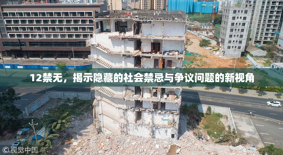 12禁无，揭示隐藏的社会禁忌与争议问题的新视角