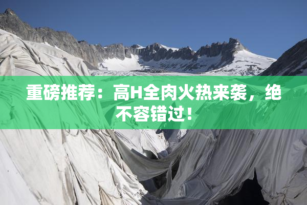 重磅推荐：高H全肉火热来袭，绝不容错过！