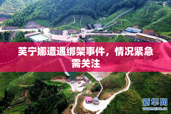 芙宁娜遭遇绑架事件，情况紧急需关注