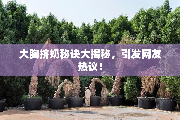 大胸挤奶秘诀大揭秘，引发网友热议！