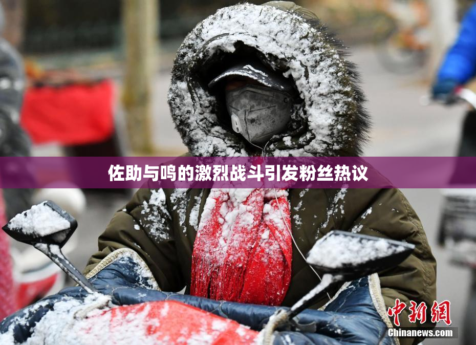 佐助与鸣的激烈战斗引发粉丝热议