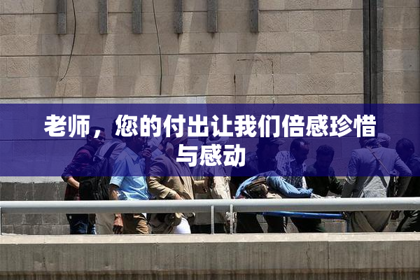 老师，您的付出让我们倍感珍惜与感动