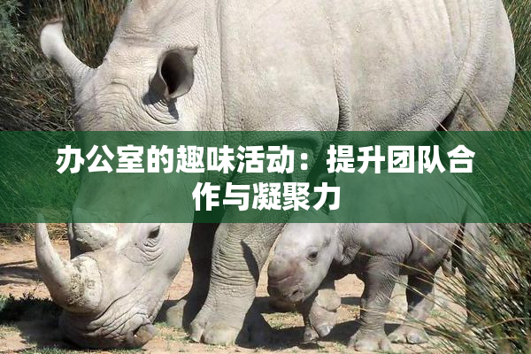 办公室的趣味活动：提升团队合作与凝聚力