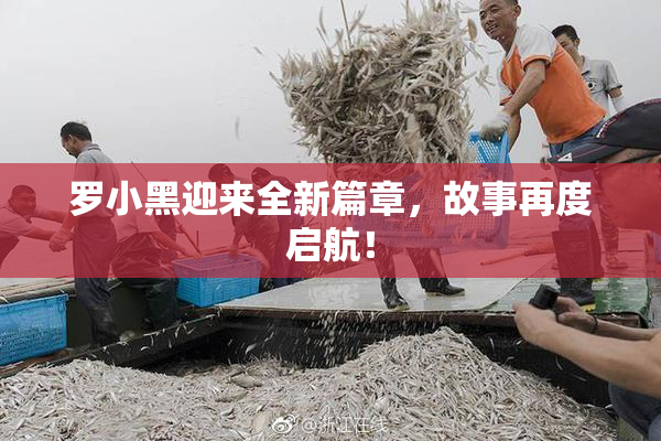 罗小黑迎来全新篇章，故事再度启航！