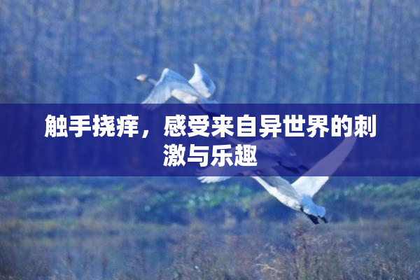 触手挠痒，感受来自异世界的刺激与乐趣
