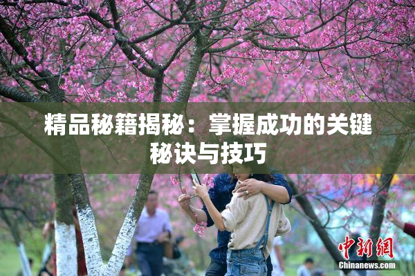 精品秘籍揭秘：掌握成功的关键秘诀与技巧
