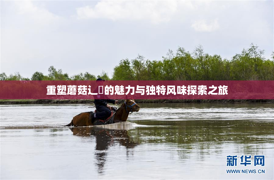 重塑蘑菇辶喿的魅力与独特风味探索之旅