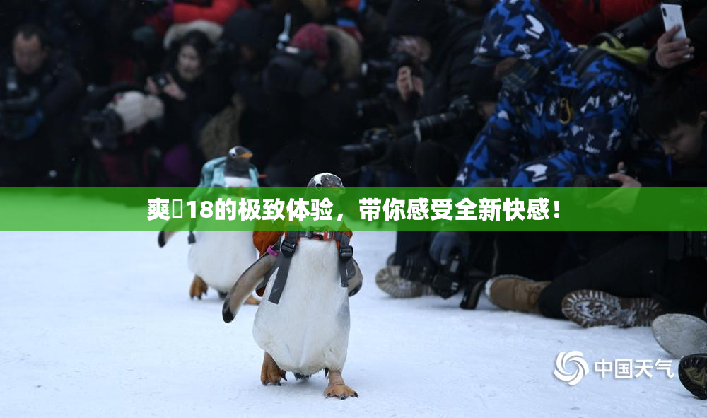 爽擼18的极致体验，带你感受全新快感！