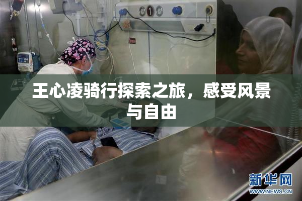 王心凌骑行探索之旅，感受风景与自由