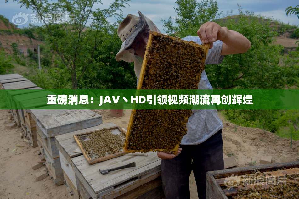 重磅消息：JAV丶HD引领视频潮流再创辉煌