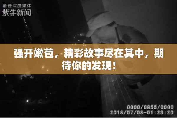 强开嫩苞，精彩故事尽在其中，期待你的发现！