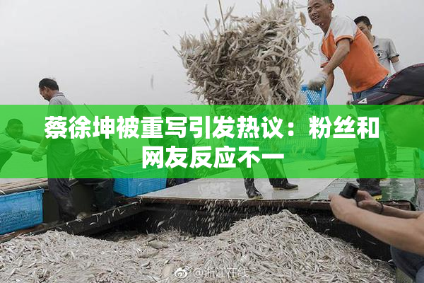 蔡徐坤被重写引发热议：粉丝和网友反应不一