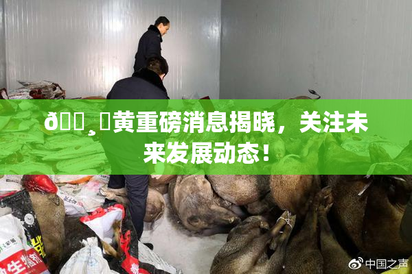 🌸‌黄重磅消息揭晓，关注未来发展动态！