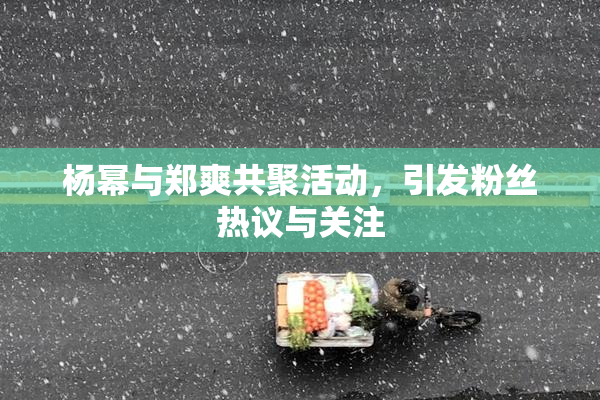 杨幂与郑爽共聚活动，引发粉丝热议与关注