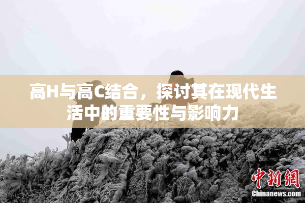 高H与高C结合，探讨其在现代生活中的重要性与影响力