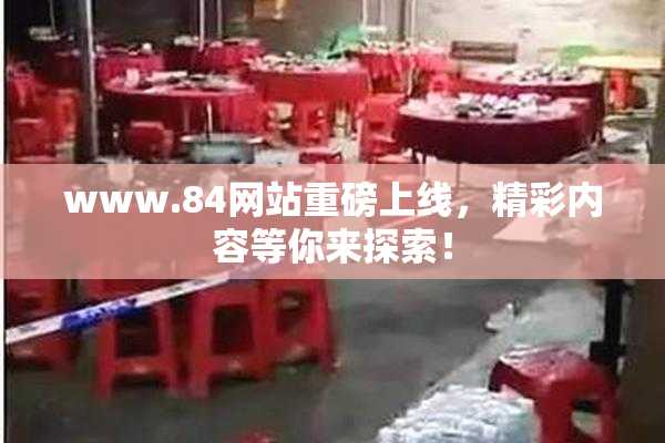 www.84网站重磅上线，精彩内容等你来探索！