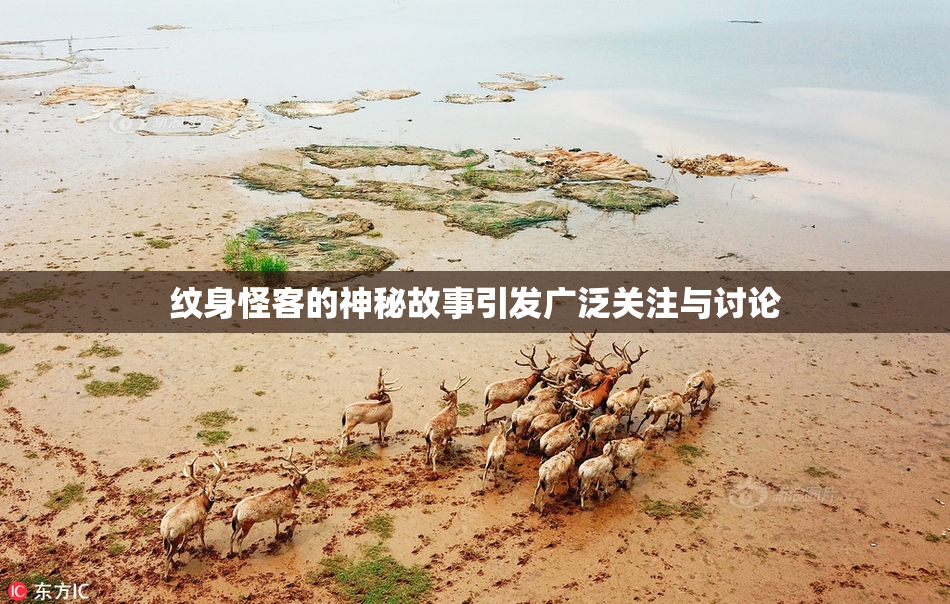 纹身怪客的神秘故事引发广泛关注与讨论