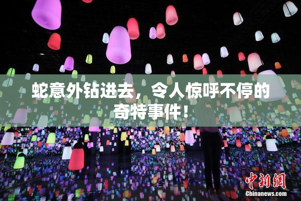 蛇意外钻进去，令人惊呼不停的奇特事件！