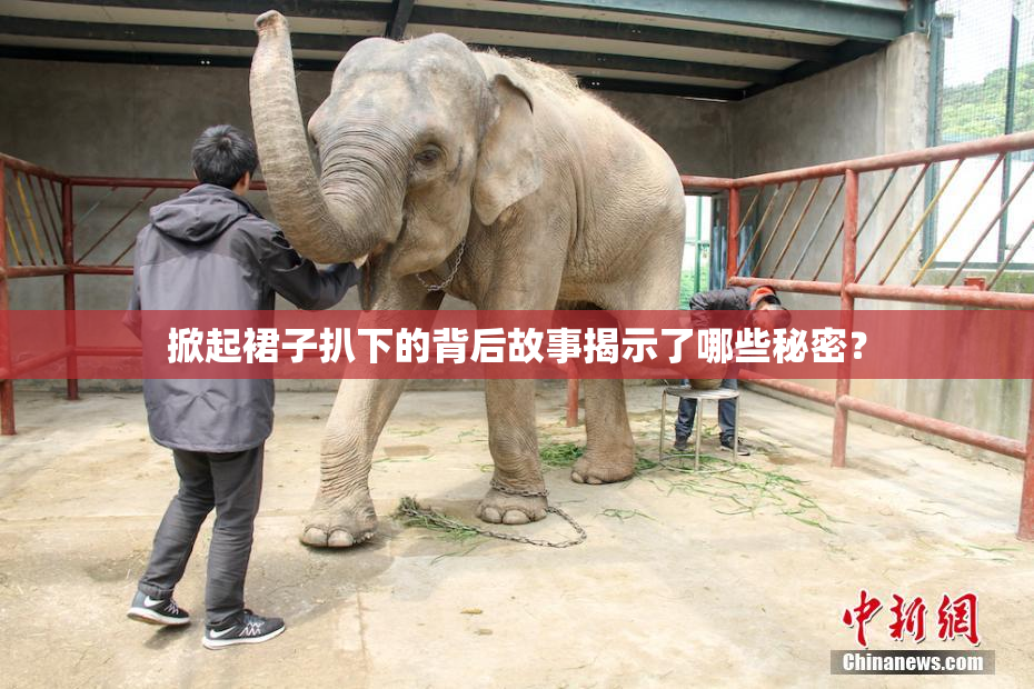 掀起裙子扒下的背后故事揭示了哪些秘密？