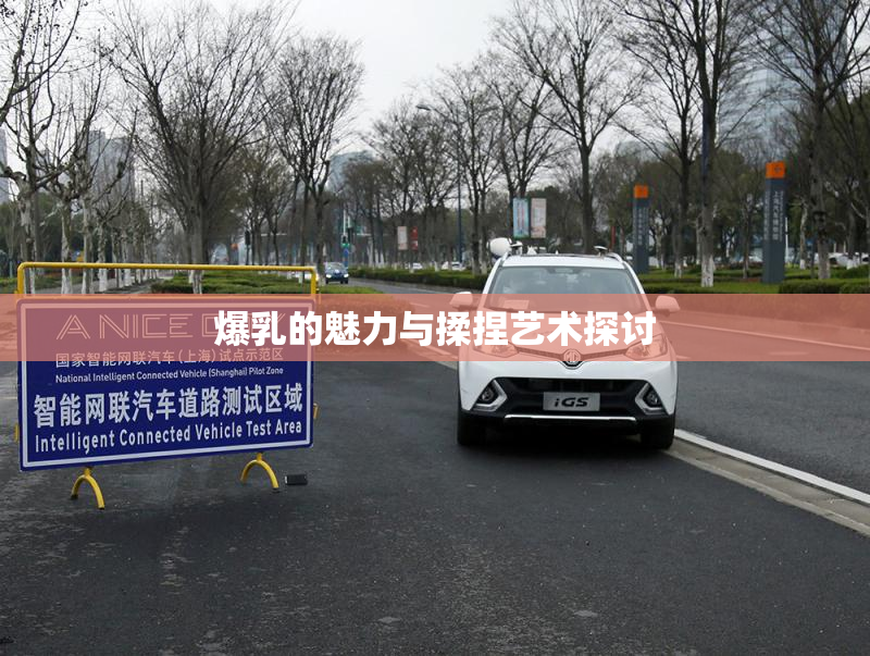 爆乳的魅力与揉捏艺术探讨