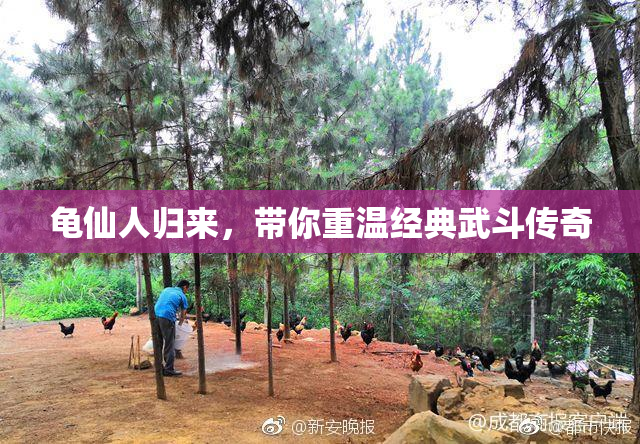 龟仙人归来，带你重温经典武斗传奇