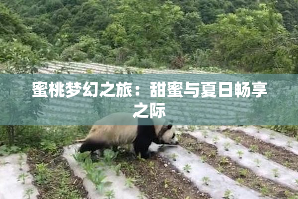 蜜桃梦幻之旅：甜蜜与夏日畅享之际